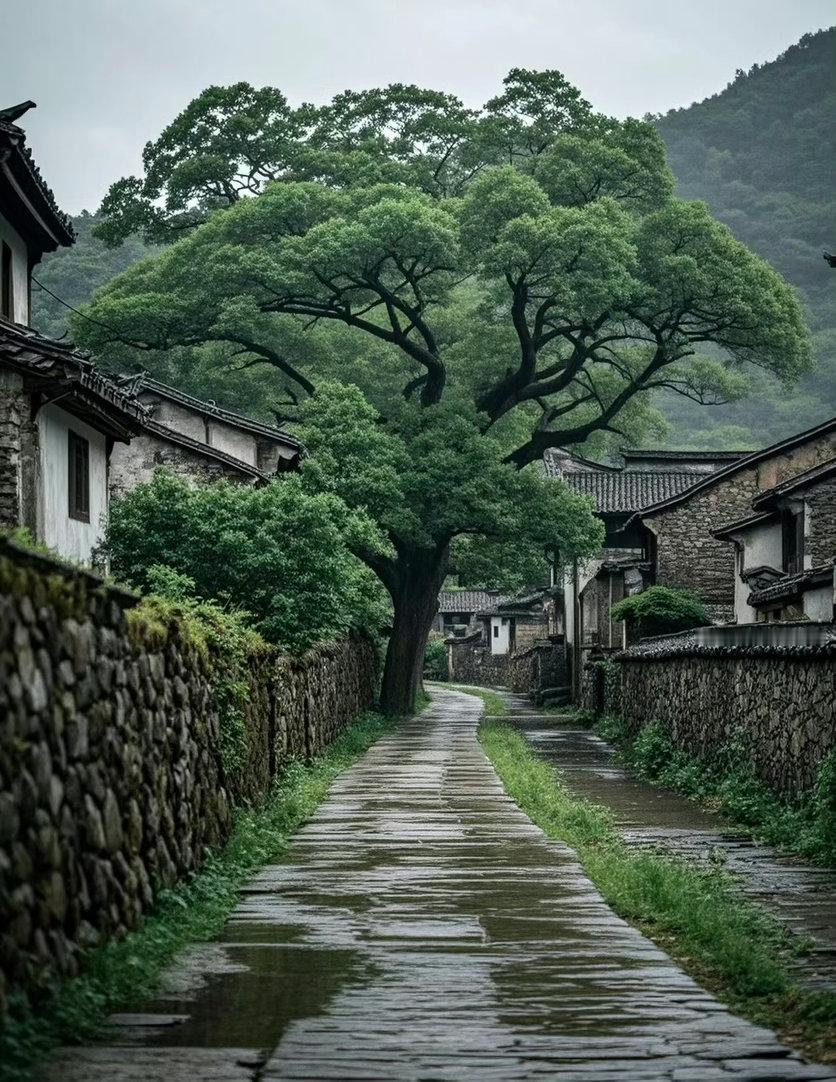 “听过三观最正的一句话一个家最可怕的不是没钱不是疾病而是家人之间不能好好说话一个