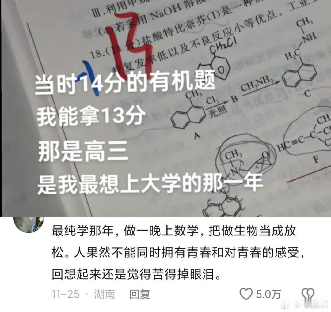 最纯学的那一年 