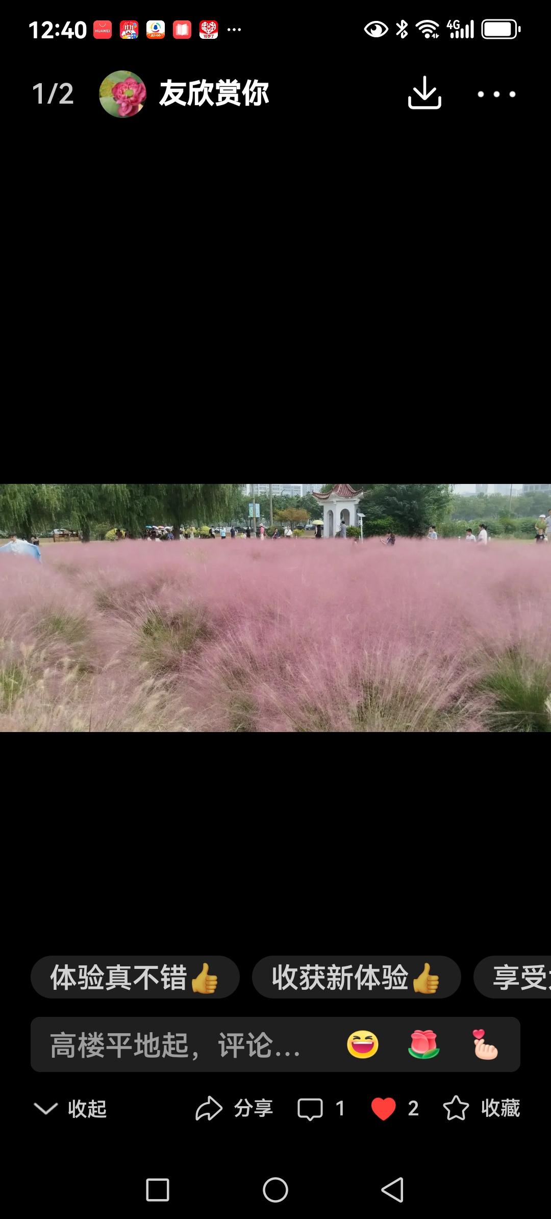 ，什么花都行