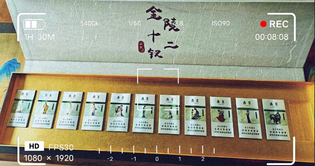 金陵十二佳人影，各自悲欢映红尘！