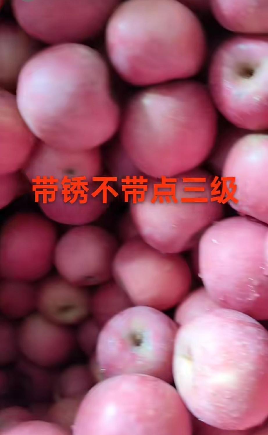 冷库苹果走货加快，像下图这种“带锈不带点的片红三级果”大致单价在1.8元至1.9