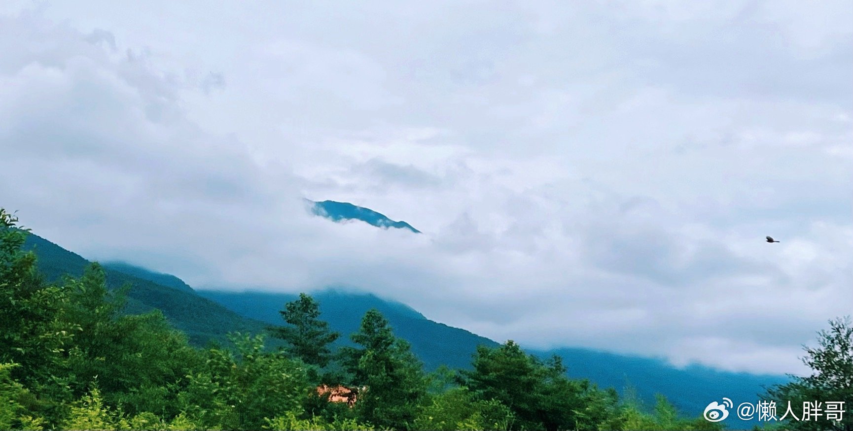 山脊露了个头一只鸟掠过 