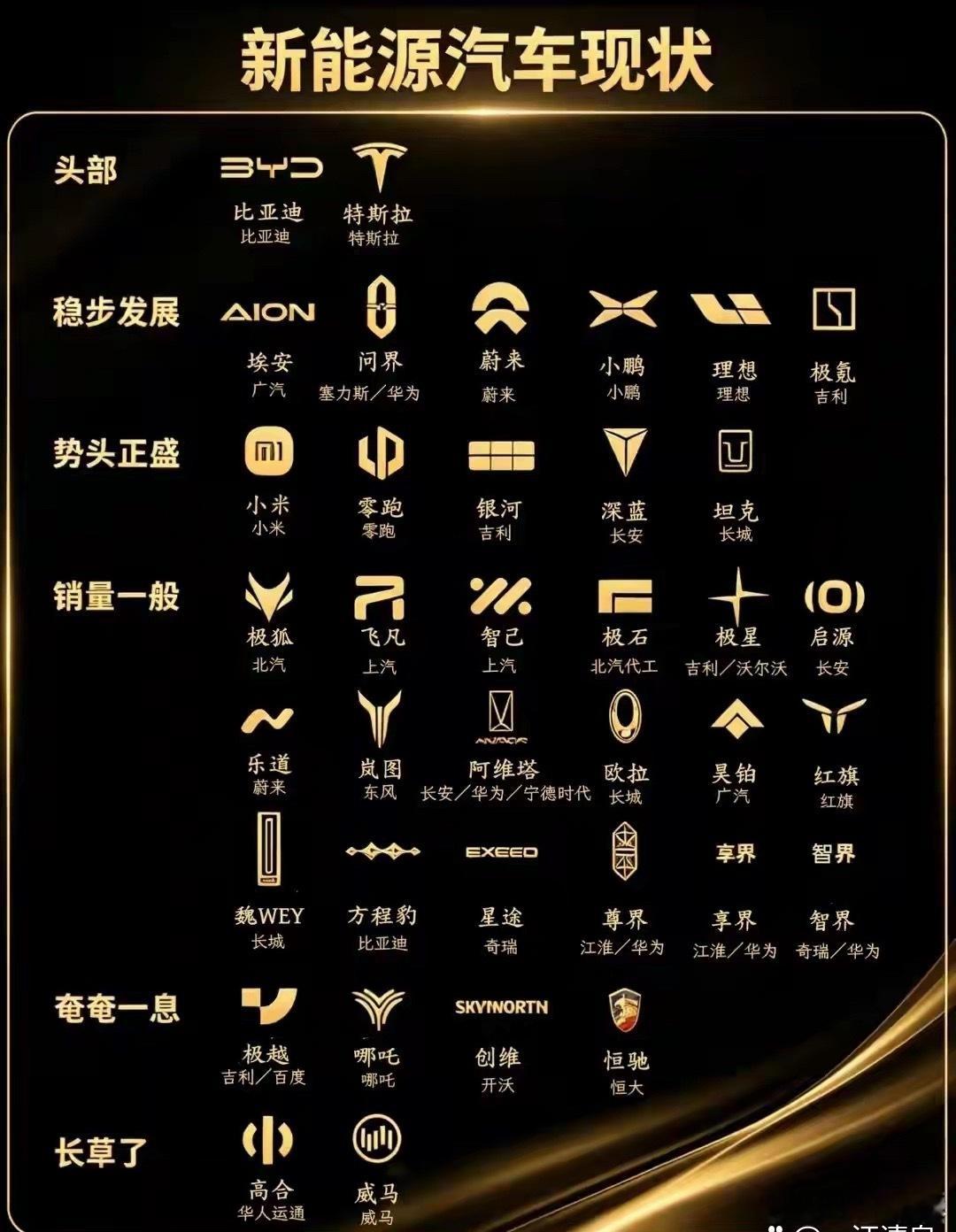 新能源电车现状，国内竟然还有这么多新能源品牌，行业大佬分析未来真正存活下来的不到