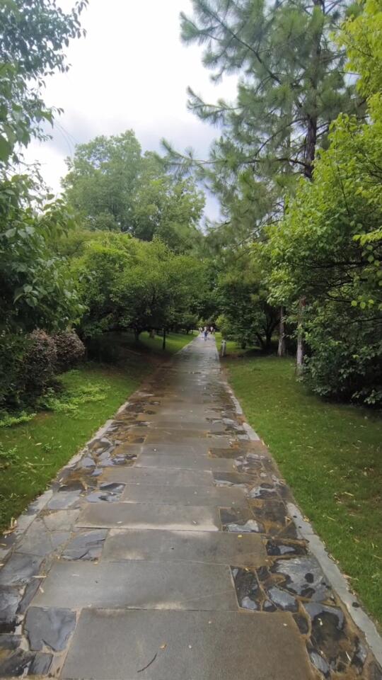 爬山的快乐、今天的快乐