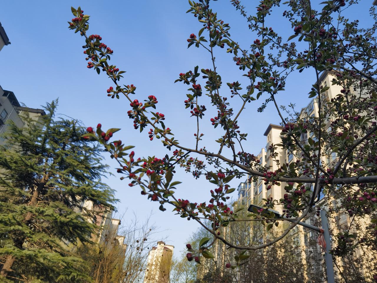 不能把职能部门缺失的后果，算在市场经营者的头上。
记得是胖东来，有自己的检测机构