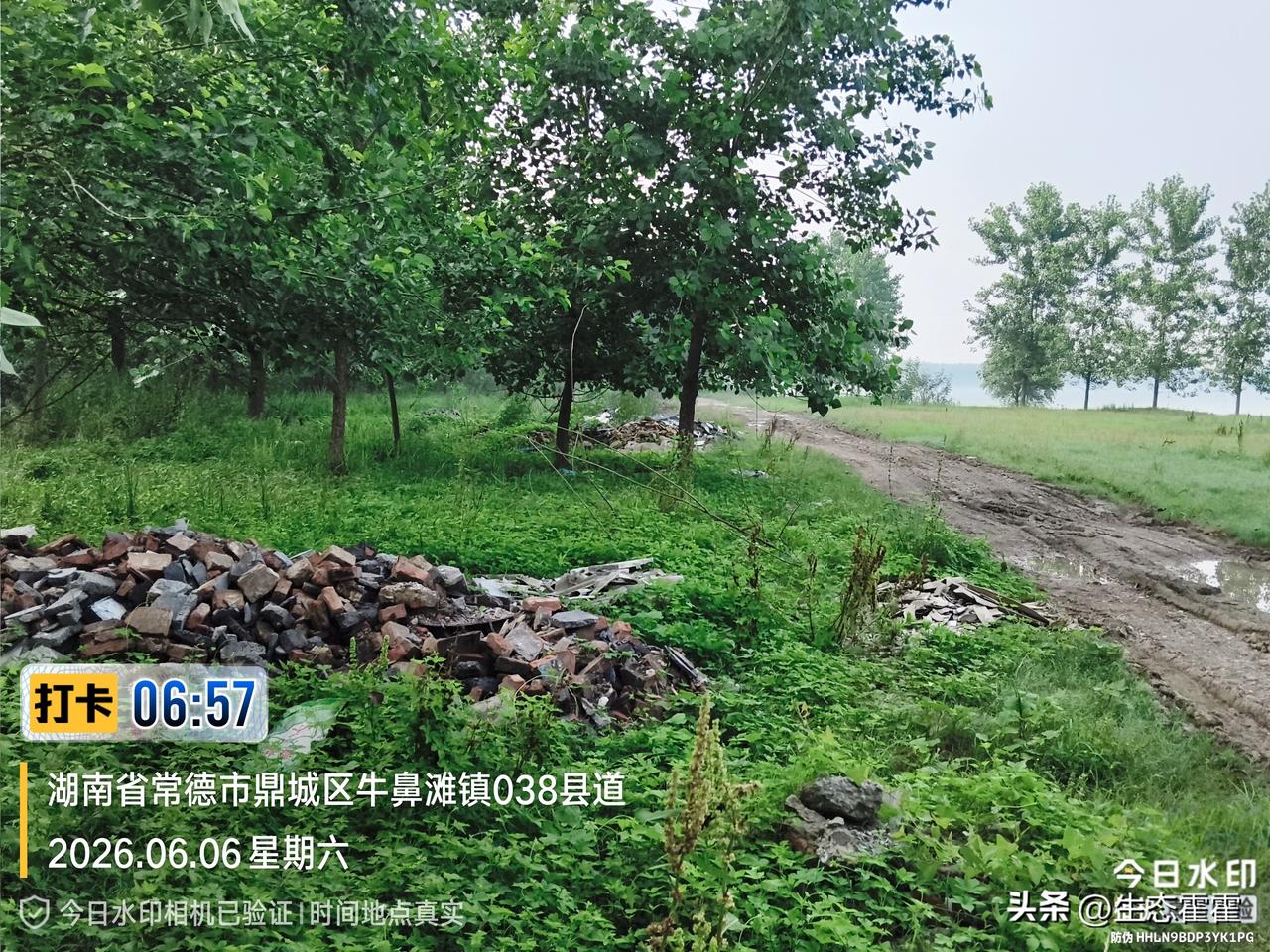 湖南常德，水稻原种场，私自藏匿大量建筑垃圾？2026年6月6日一大早，“中国零鸟