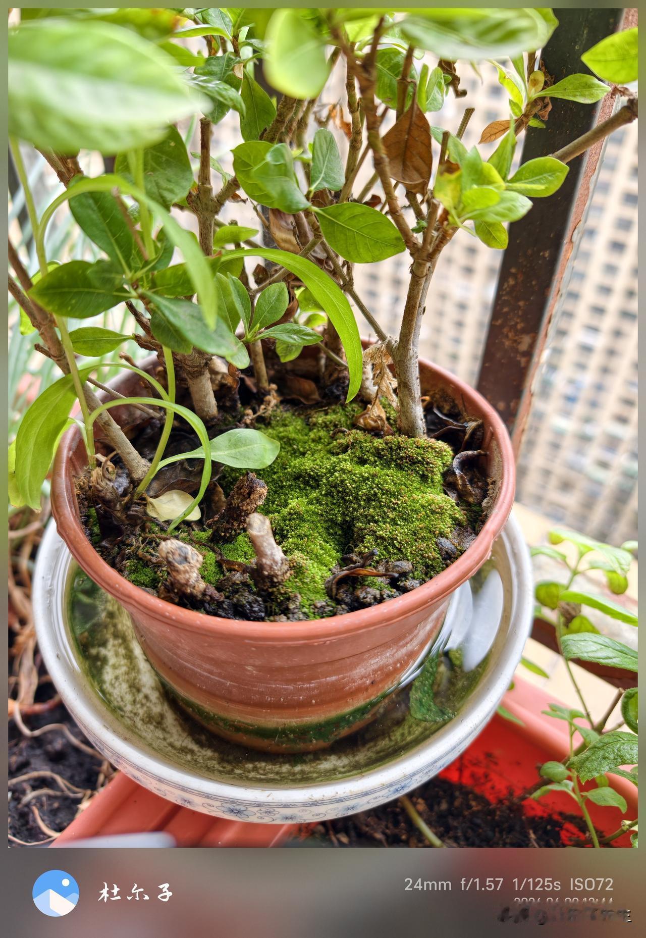 今年高考的数学考完，考生固然难受，但比考生更难受的是高中一线的数学老师
 这些天