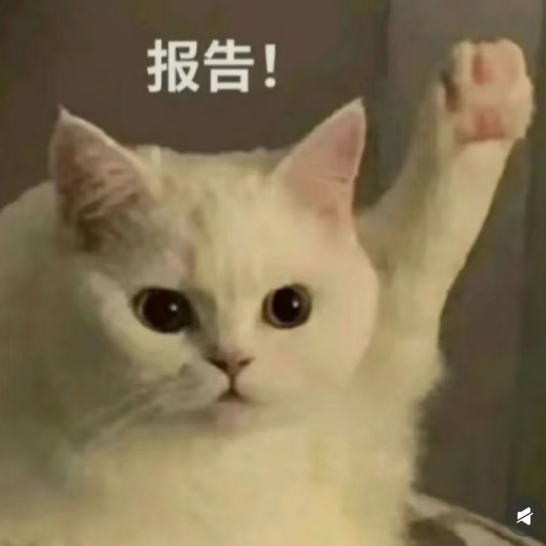 2026年7月3日 14:57分 剧看完了，确认了！！！我好像磕不了真给子！反正