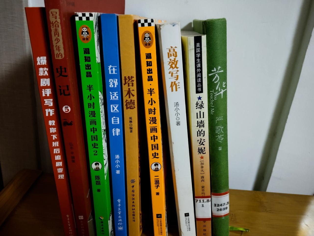 这是属于我的个人空间的一部分，其实也就是个鞋柜，只不过方便我站在这儿看书。

很