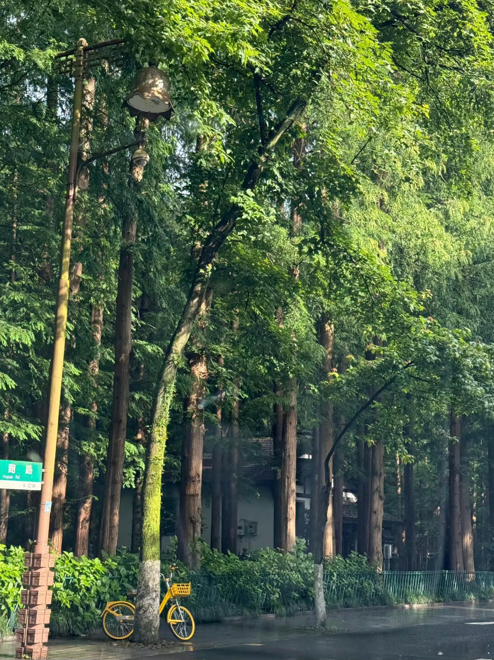 很多人以为不害怕失去关系的人是冷血但我做情感咨询越久，其实想说真正厉害的人，恰恰