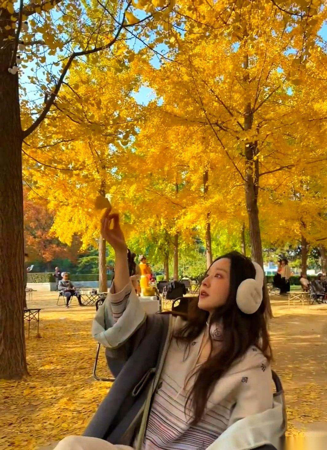 刷到马龙老婆晒的九宫格，满地金黄的银杏，真好看。
但我第一反应不是“好美啊”，也