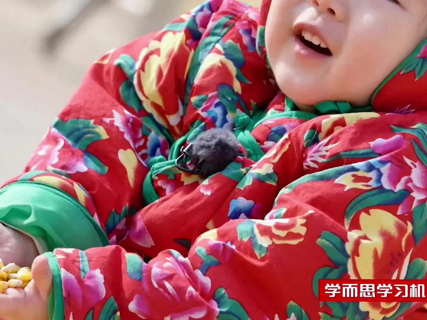 小宇宙好萌好乖好可爱 萌娃