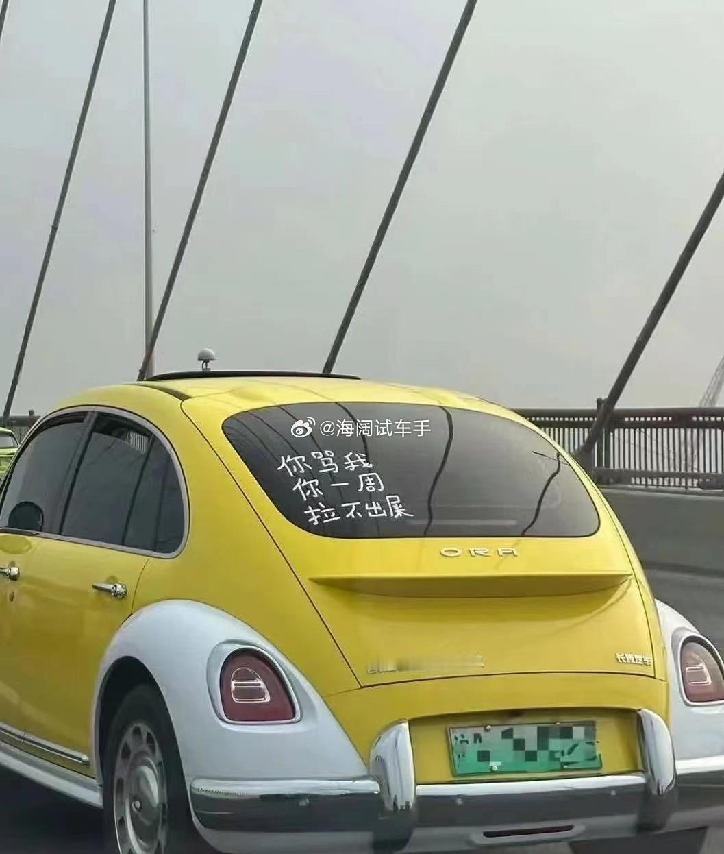 电动汽车的标语这么文雅？？？这是遭遇了啥？？？#海阔试车超话# ​​​