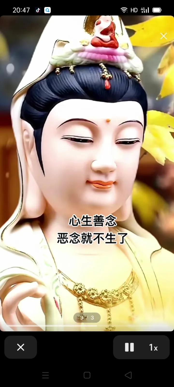 [心]大爰无疆，万物有灵。
     心怀善念，和谐共生。