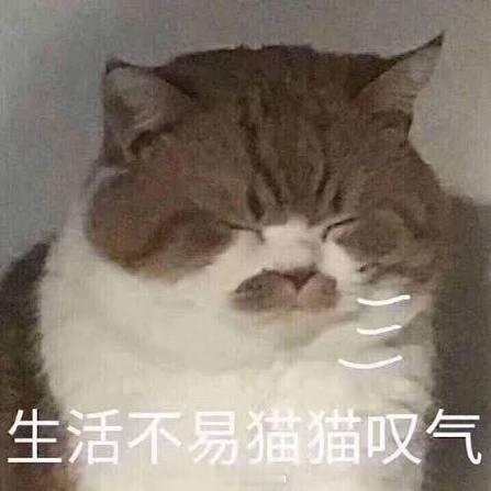 今天签保密协议，保密期限是到明天。但是签署保密协议走完流程要两天。签署好了再与我