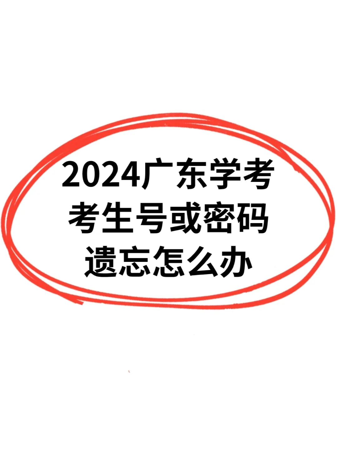 2024广东学考|忘记密码/手机号注销怎么办