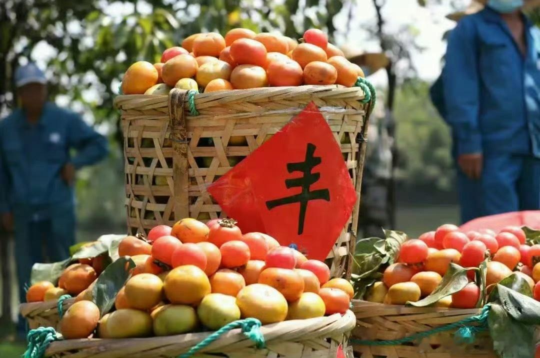 “ 诸事顺遂，柿柿如意” 