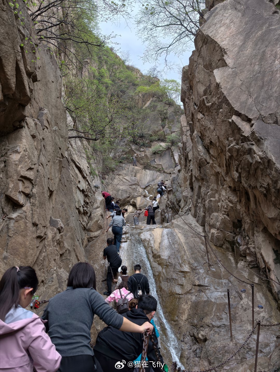 我不是为了这个扭转胰岛素抵抗嘛最近一直有在练肌肉尤其是腿部肌肉每天午饭半小时后我
