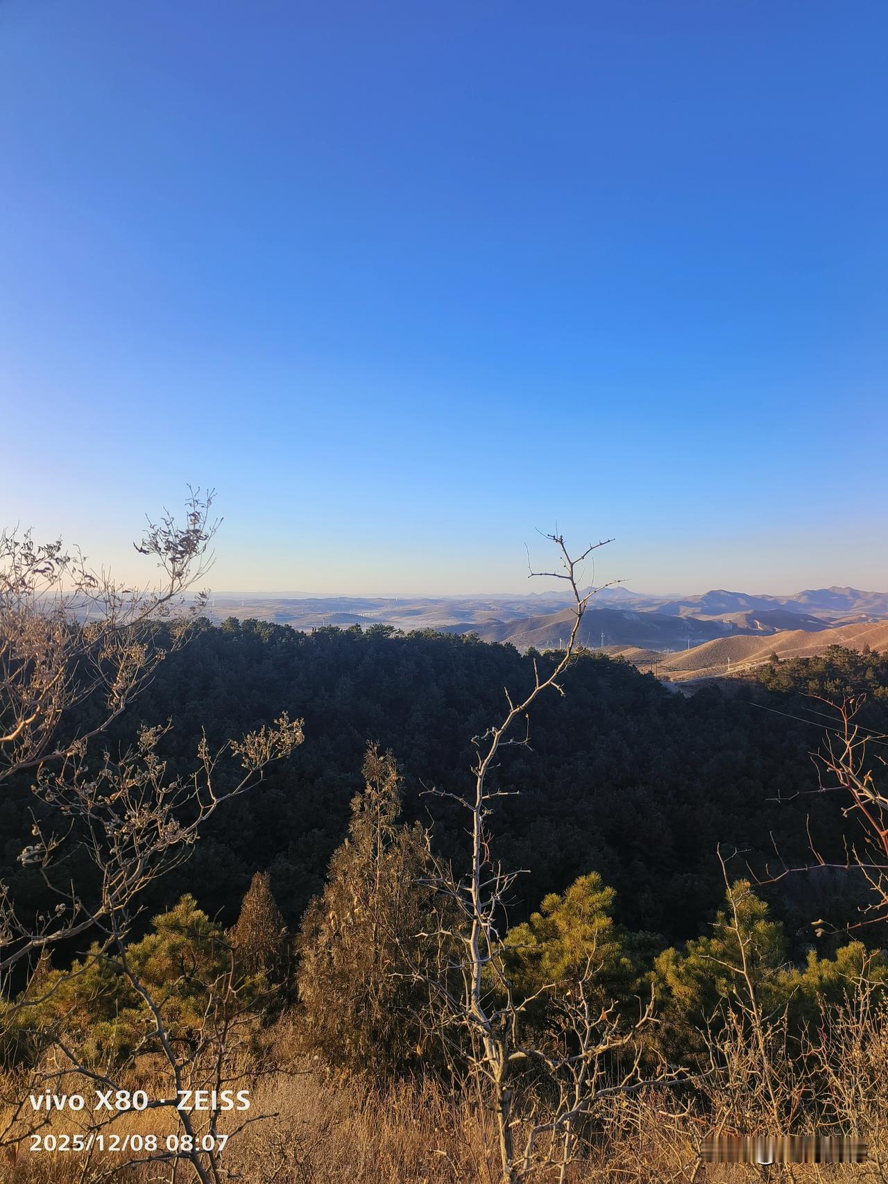 冬天的山，冬天的树，冬天的天，感觉有一种独到的美！