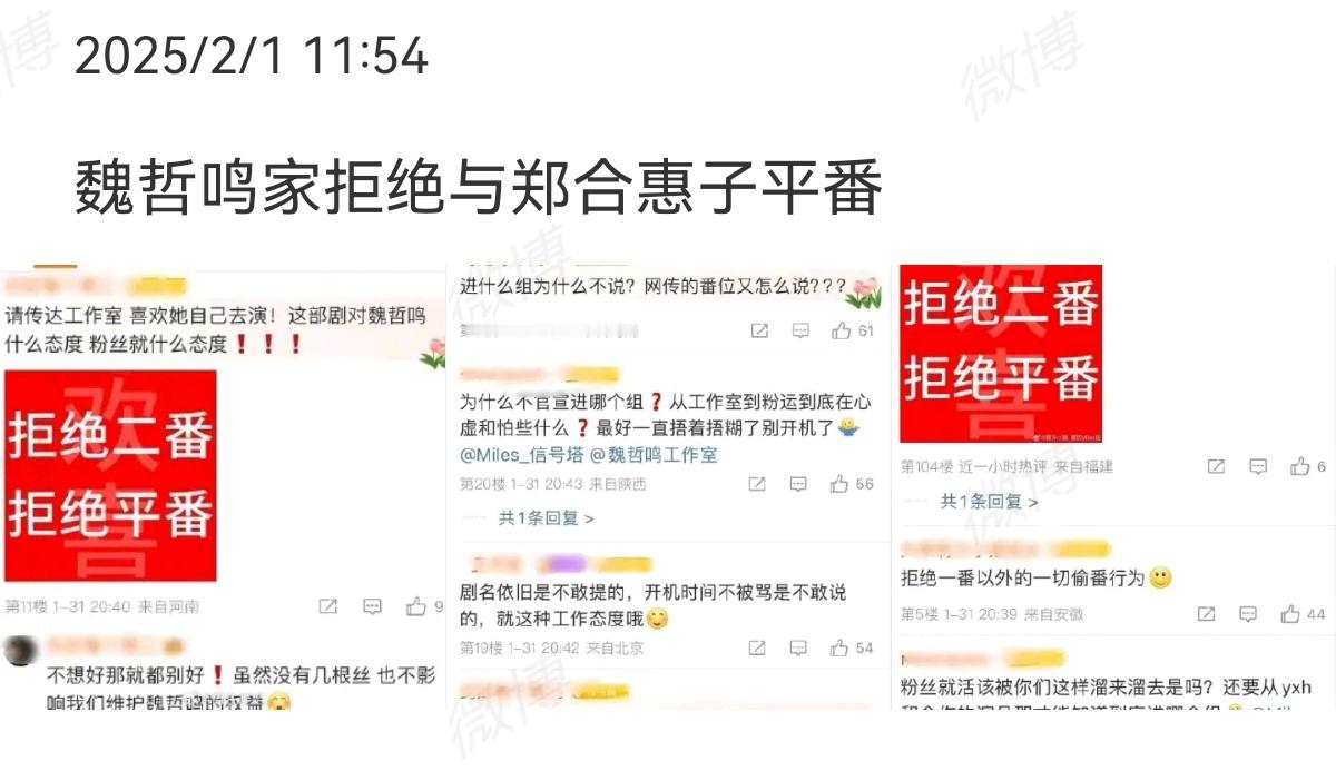 你是迟来的欢喜，番位，魏哲鸣粉拒绝跟郑合惠子平番 