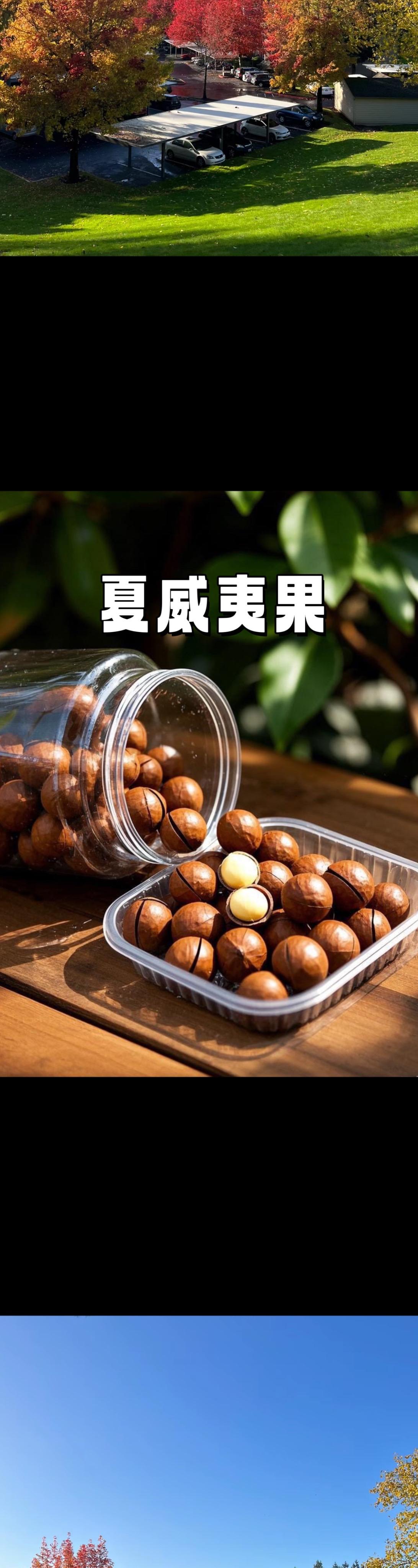 夏威夷果，洋溢着浓郁的奶香，是春节期间不可或缺的美味佳选！每一颗都仿佛...