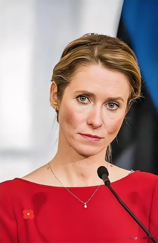 欧盟这次玩脱了！乌克兰入盟梦又要凉凉？

就在刚才，慕尼黑安全会议上爆出大消息，