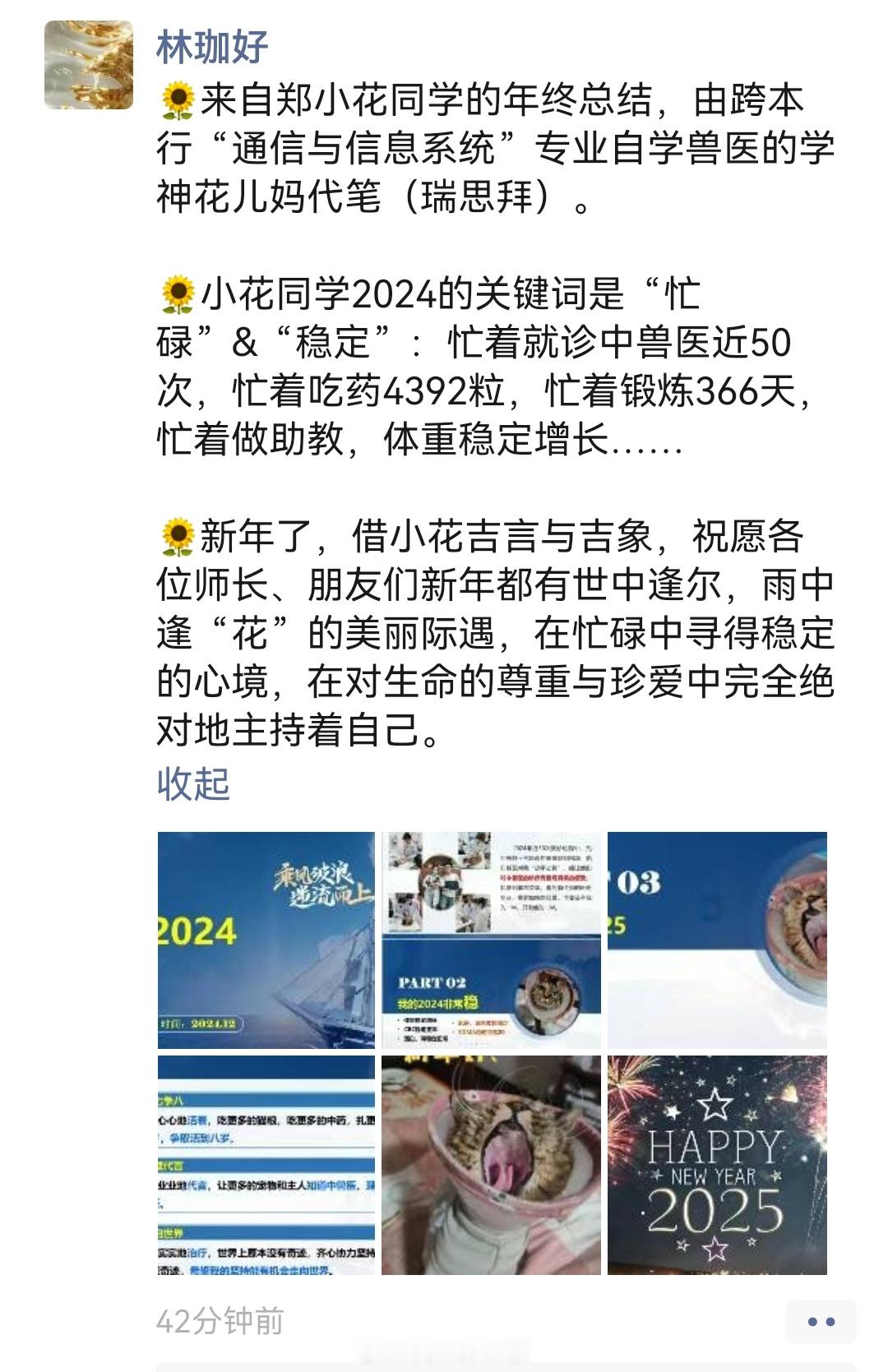 一只猫一年的总结报告。这是中国农业大学动物医院  