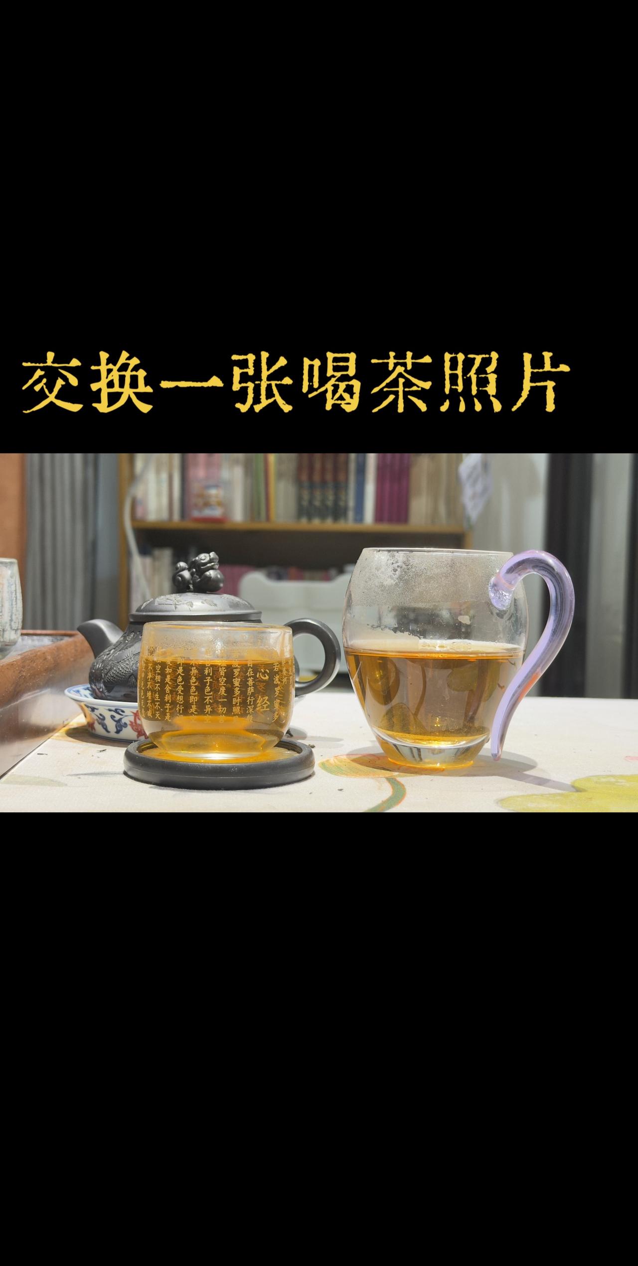 每日一茶 日常饮用茶饮