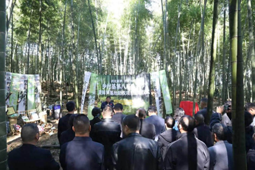 乡村基第八届春笋节启幕 溯源宜宾市兴文县鲜笋守本味 以餐助农践初心