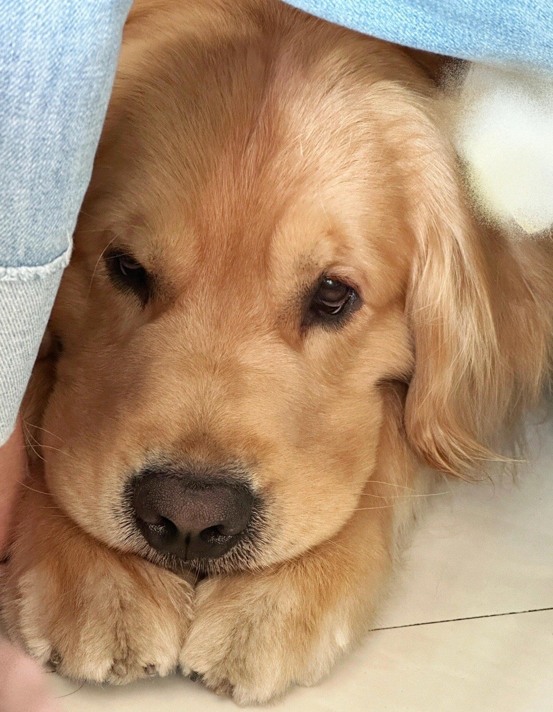 周一坏，又要一个人在家了 