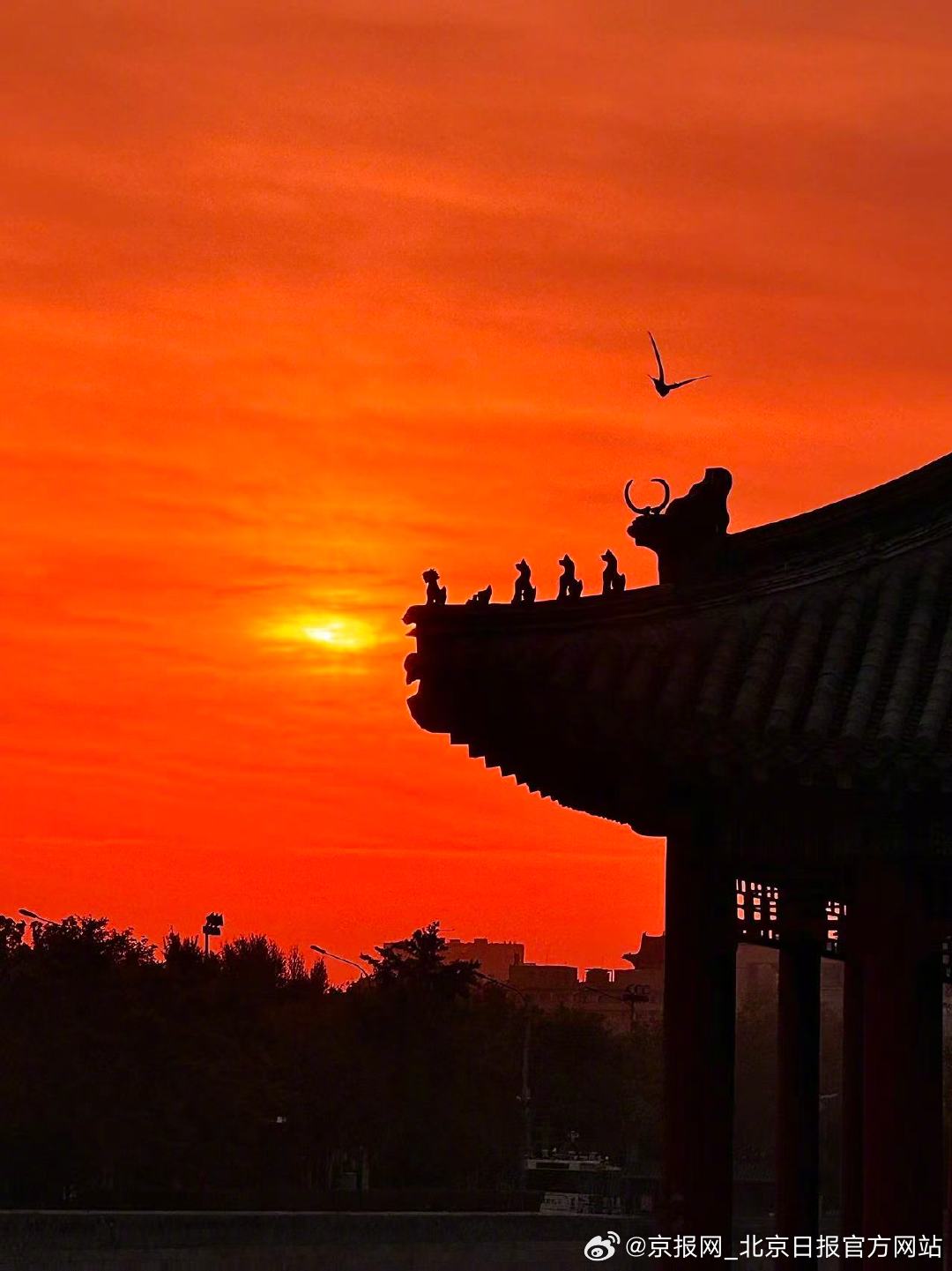 【绚烂！#北京朝霞是最温柔的早安礼#】#北京日出送你今日好心情# 4月21日清晨