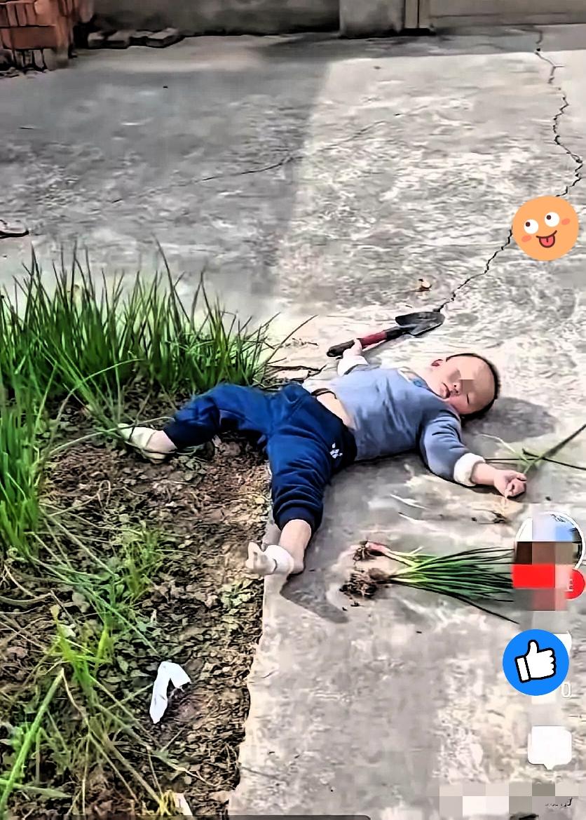 太心疼又太治愈！

奶奶要拨水葱，小孙子自告奋勇去挖，结果饭都熟了人还没回，寻到