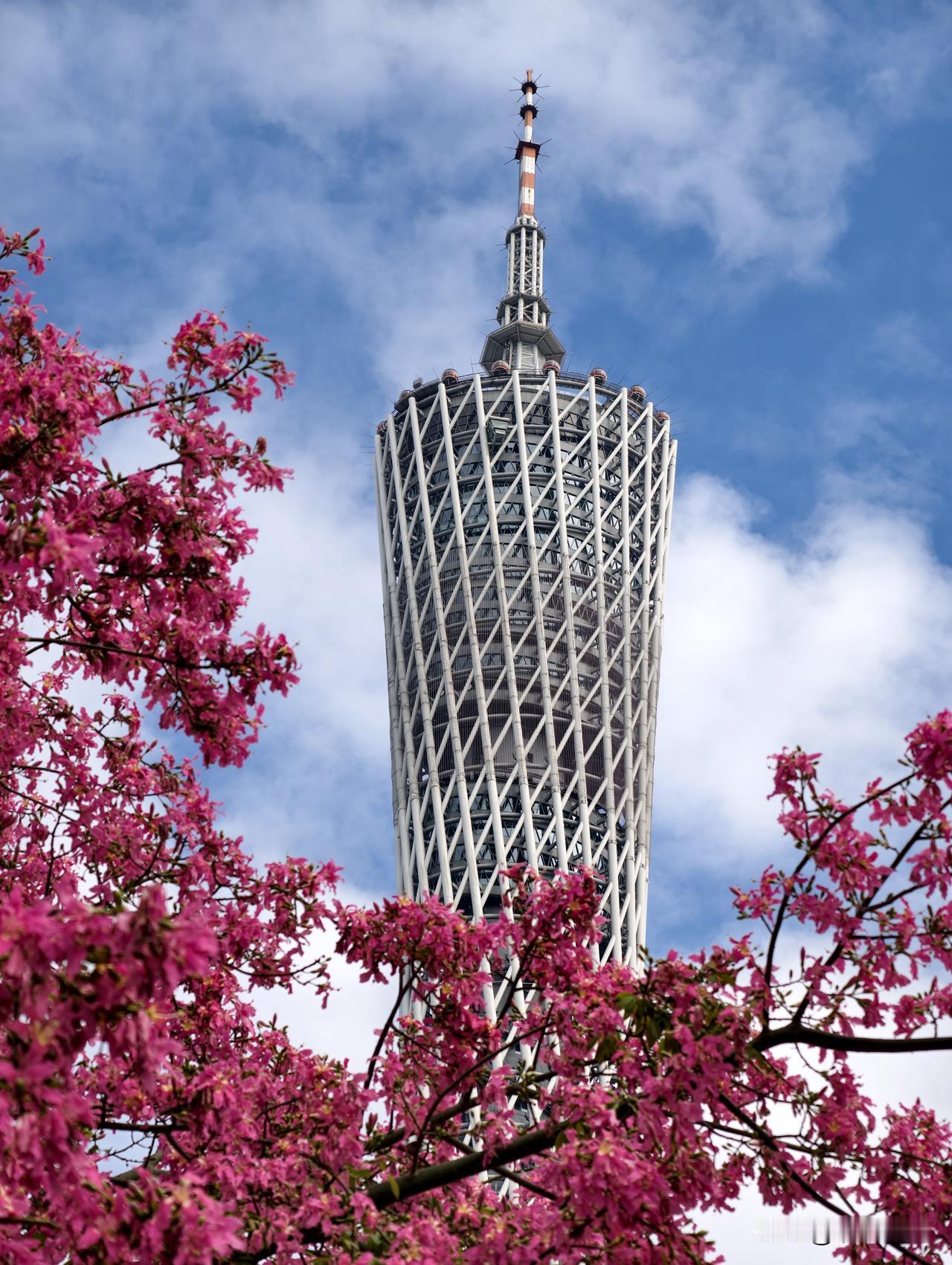 去逛了广州园林博览会。
随手拍几张风景，回来发现主角还是小蛮腰。没办法，小蛮腰总