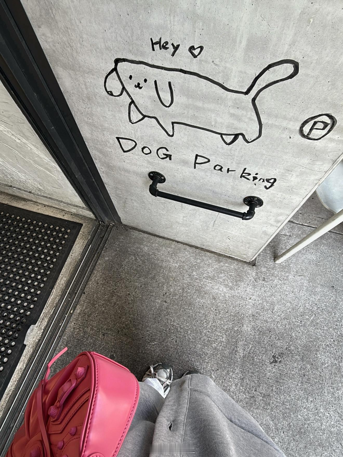 No puppy, but some blueberry bagels 🫐🥯