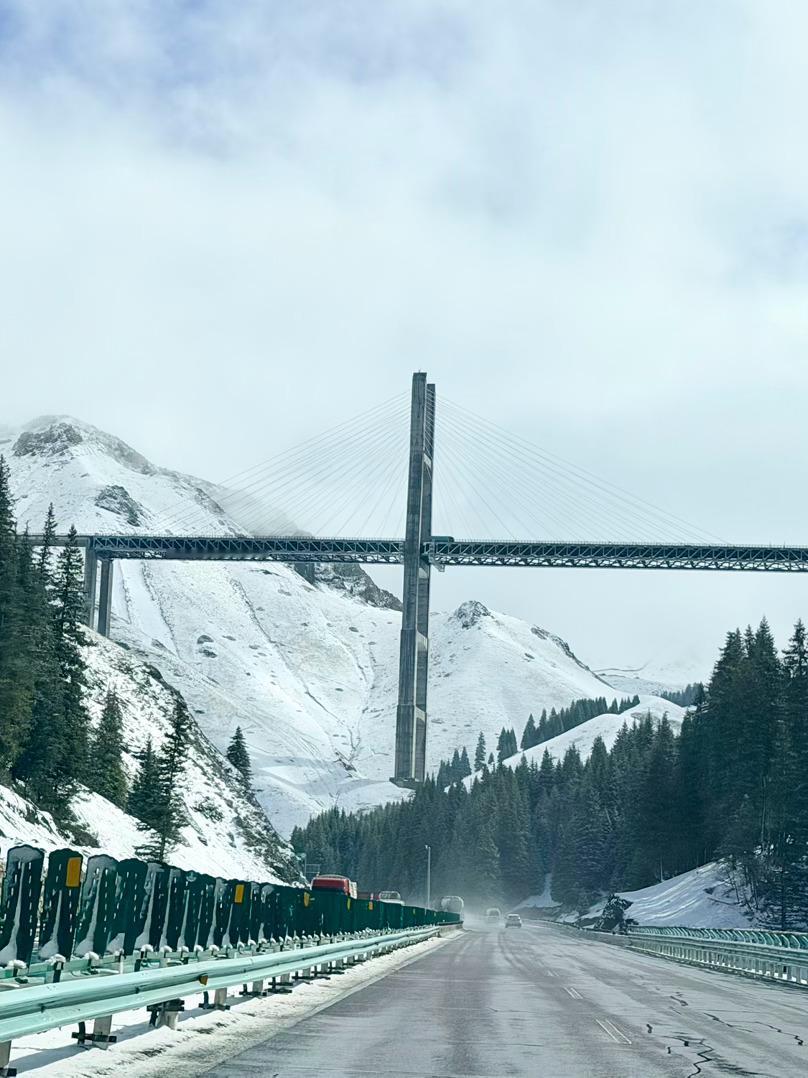 四月，我来新疆看雪了 伊犁