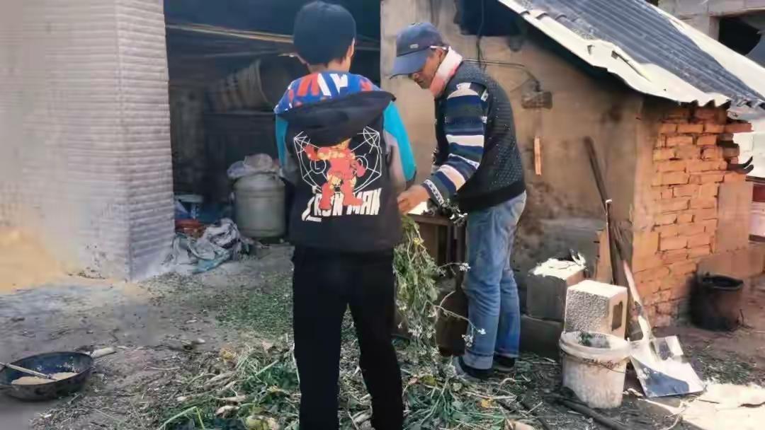 男孩赶车见爷爷最后一面，因打不到车落泪，这一幕瞬间戳中了无数人的心。生命中的告别