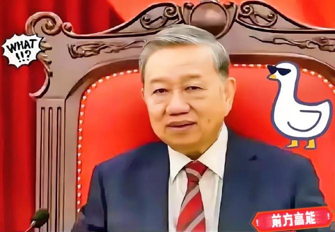 越南正在自食其果！12月8号，日本驻越南大使一句话直接浇灭越南的能源梦：宁顺2号