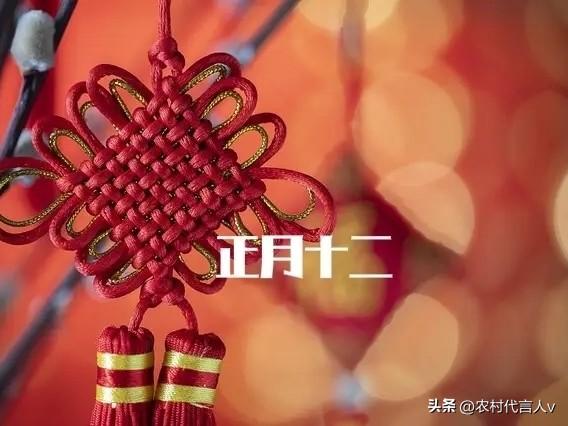 正月十二规矩多，记得4个传统忌讳：1不动、2不扔、3不吃、4不留。
 
正月十二