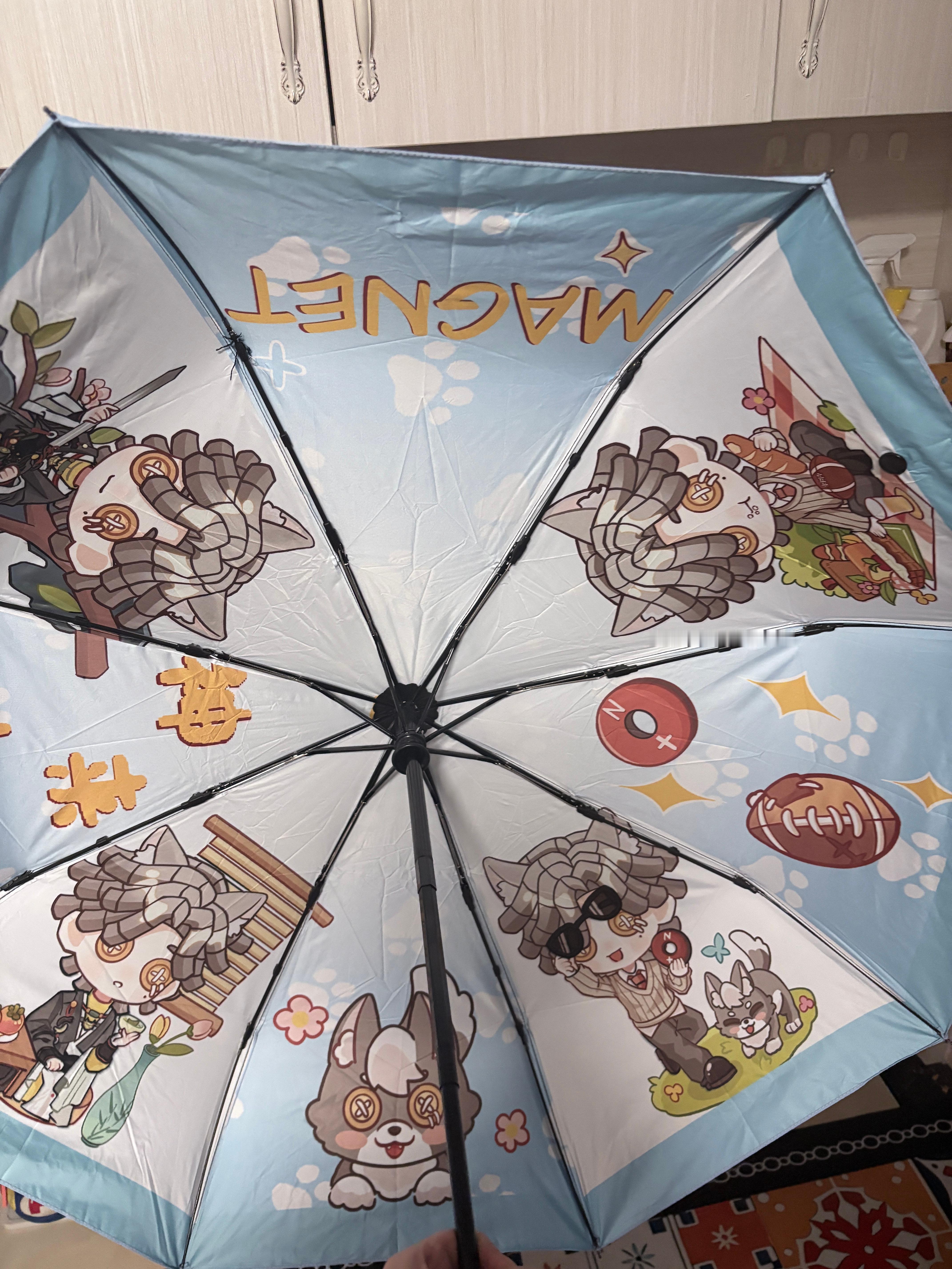 宿伞之魂 
