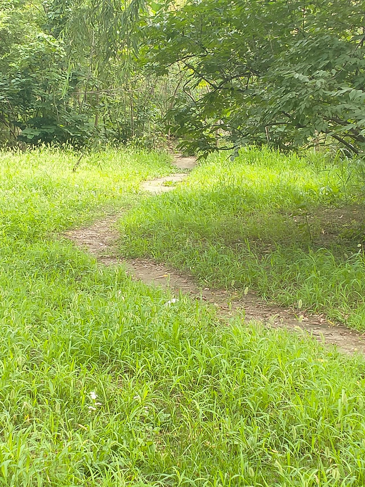 羊肠小道。