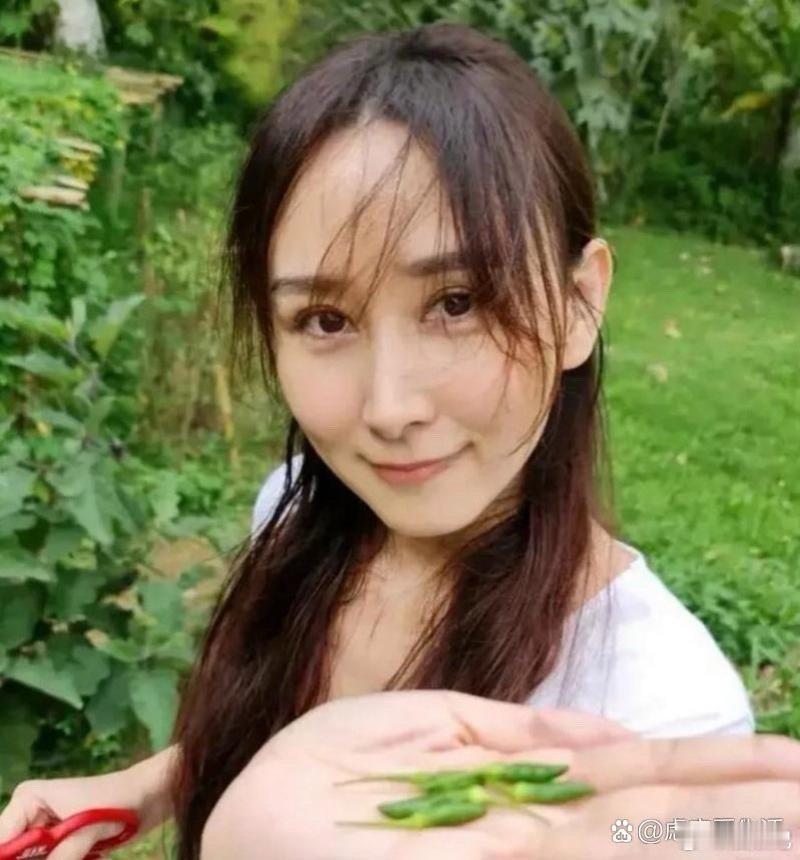 胡静的豪门生活真的太惬意了，每天在自己大院里采果实、喝茶、逗狗，不用淌娱乐圈这摊