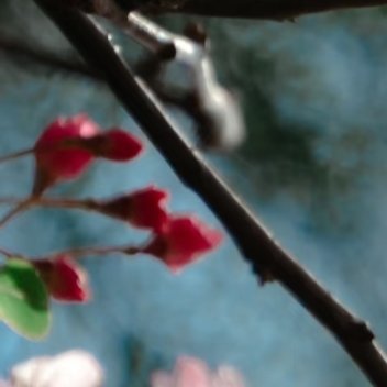 0800‎种植海棠花的种植方法  ：一、光照海棠花是非常喜欢光照的植物，不要说放
