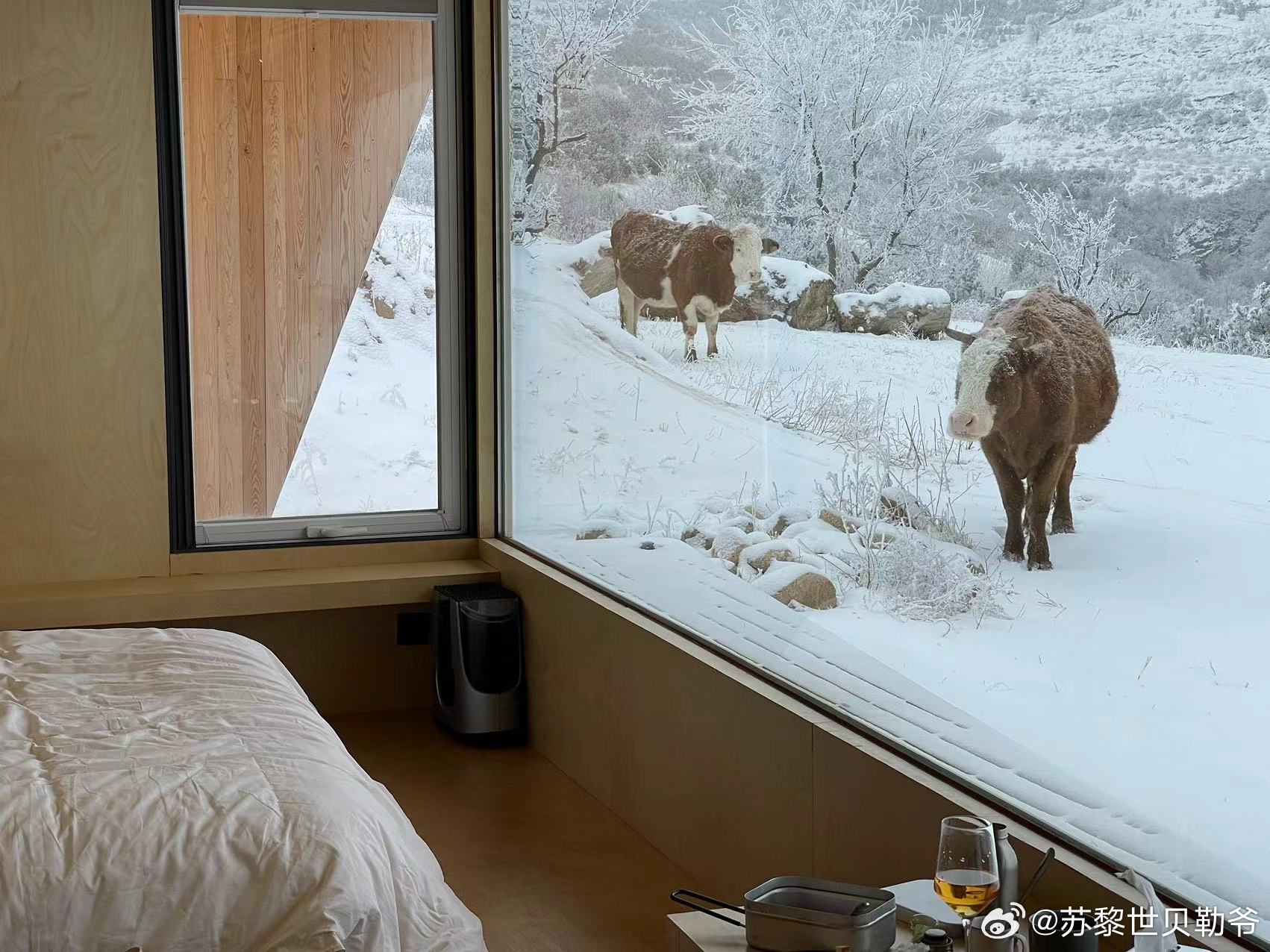 感觉可以再去下沃里屯玩儿雪了[doge]#沃里屯速度节##沃里屯#  ​​​