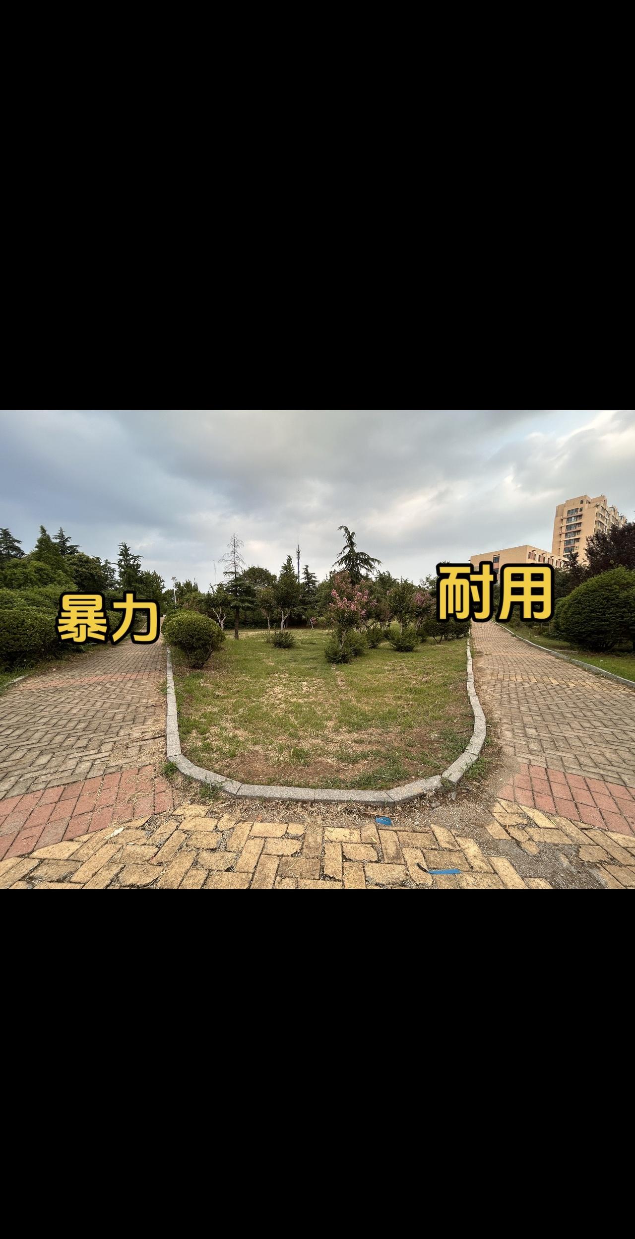 弓友们怎么选？保持热爱奔赴山海未来可期 我要上热门我上热门热门热