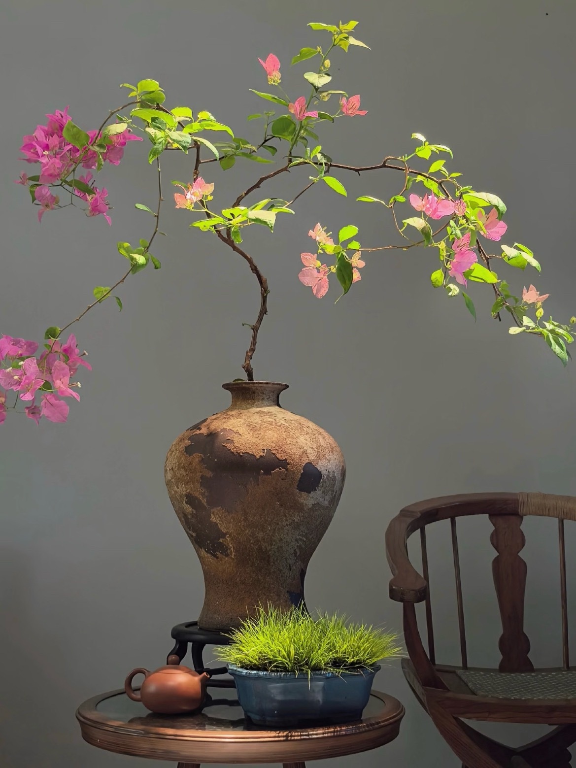 花开富贵来 ​​​