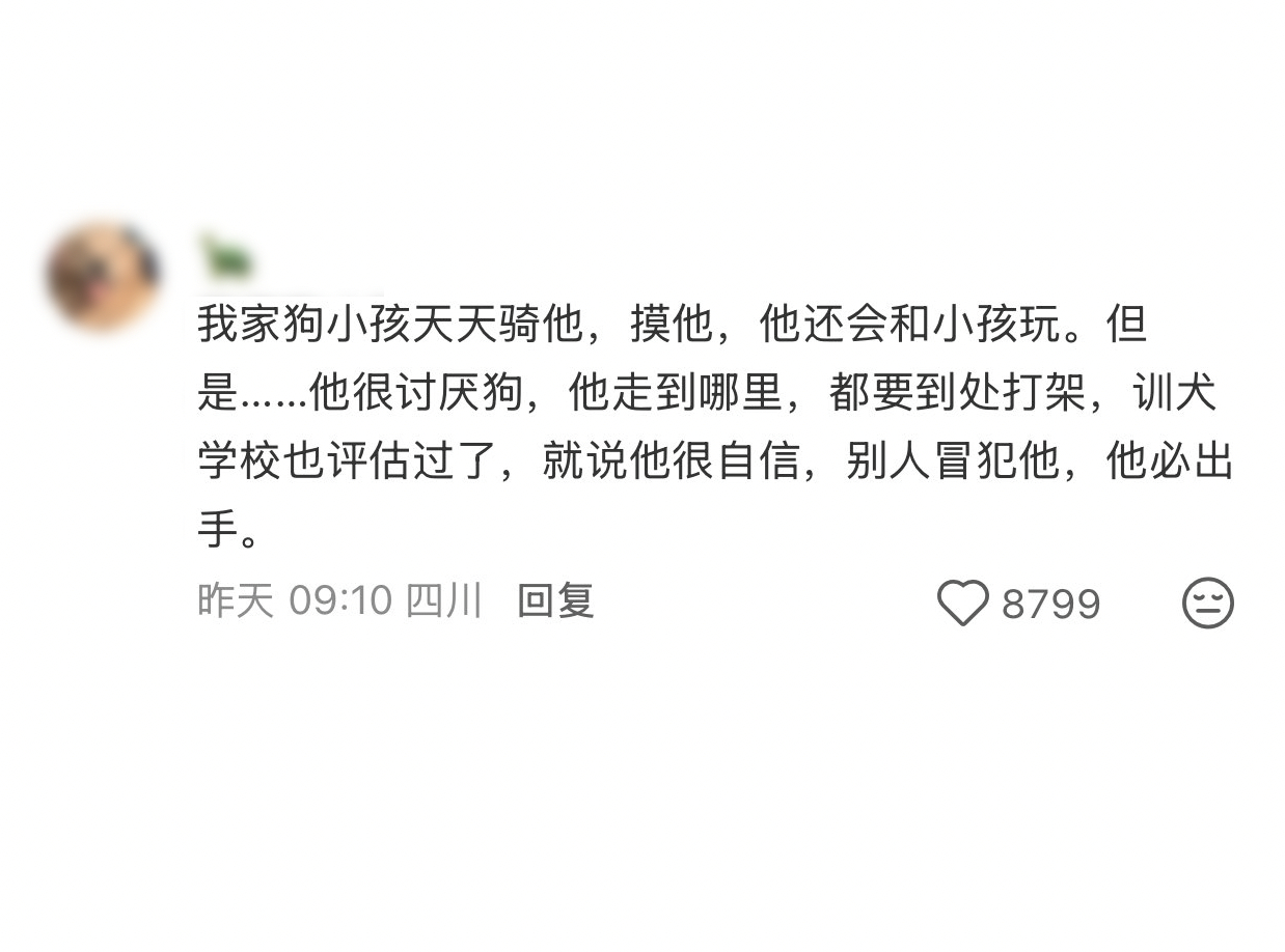 对亲近的人可以脾气很好，对没有边界感的狗，没有包容的义务。资格不同待遇不同，分得