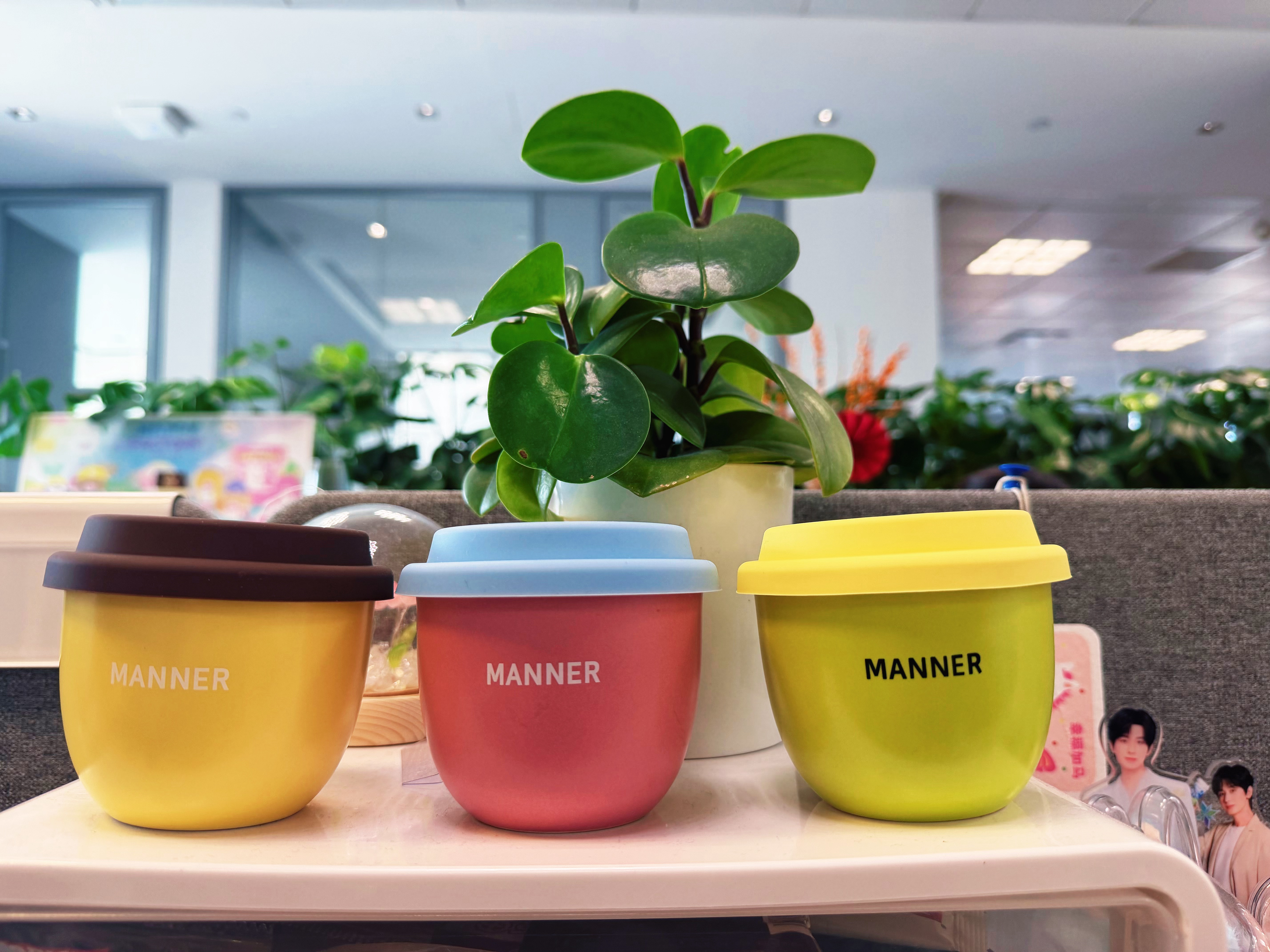 小蜜罐已经有三个啦，看到鲜艳的色彩就会心情好，话说今天上海好热23度呢，哥哥今天