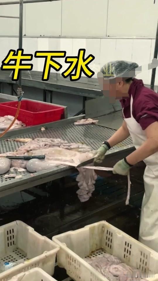 美国这个政客话说的难听，也是不怀好意！
然而，不得不承认他也是实话实说了。他说的