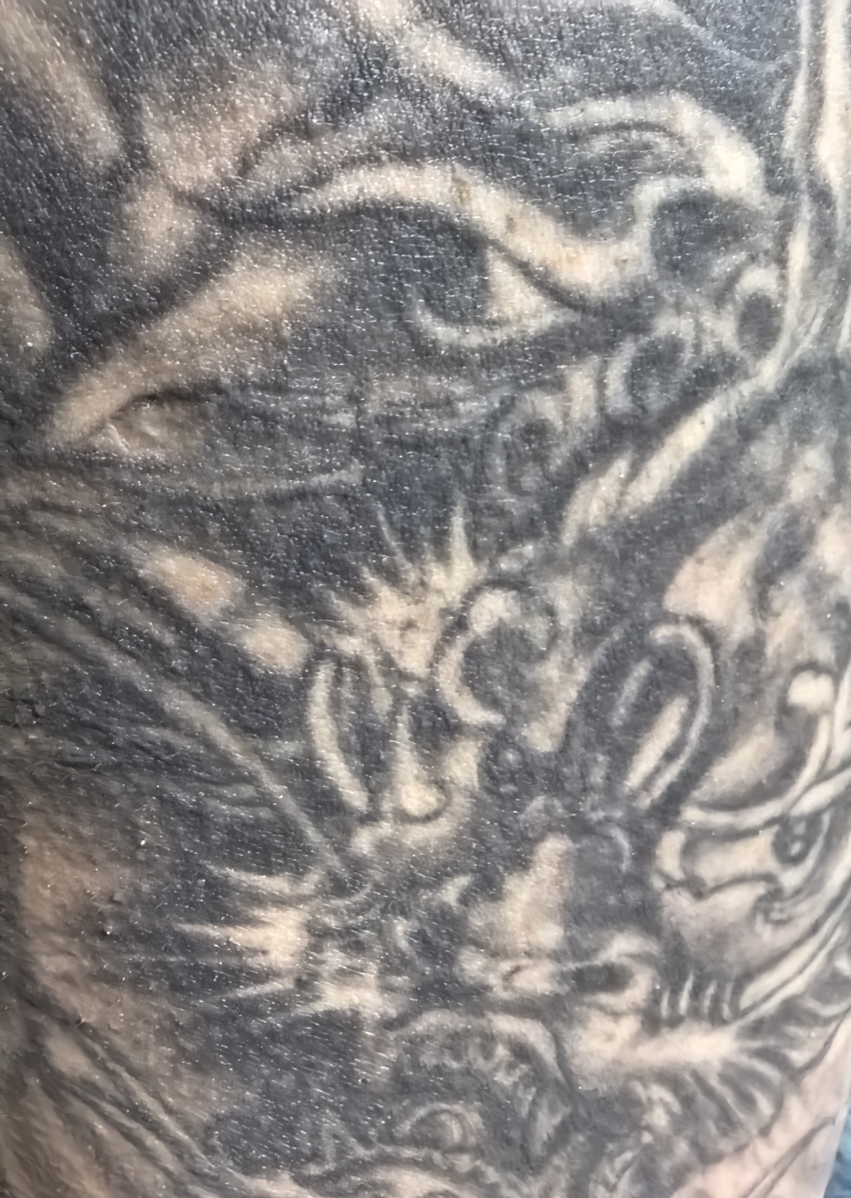 困……这……可以辟邪