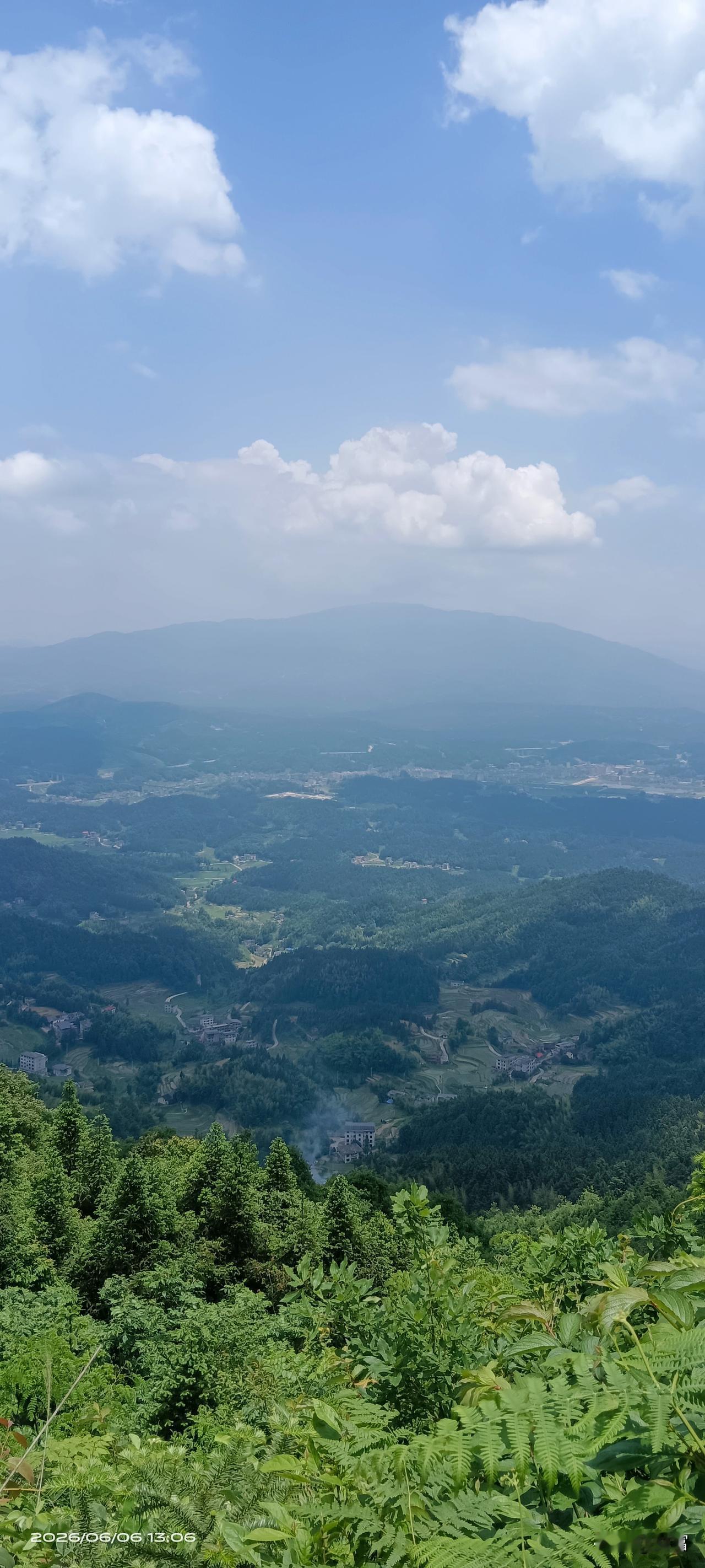 夏日美景随拍